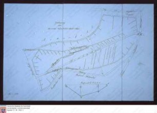 Plan der unteren Teichwiese zu Wembach