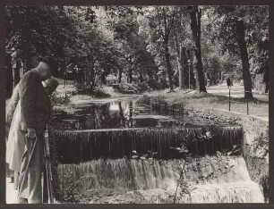 Friedrichstaler Kanal mit Wasserfall,. Detmold, Allee