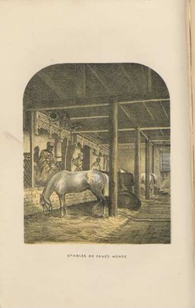Stables of Fane's horse