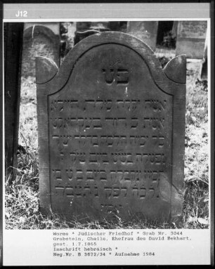 Grabstein der Chaile, Ehefrau des David Bekhart (gestorben 1865.07.01)