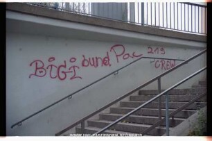 BiGi bund Pac 219 CREW