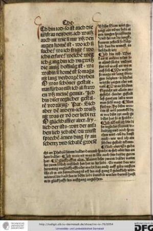 In diser scen wirt gezaigt ain nüwe liebi aines iungen sprüßlings und der rat die iungkfrawen zefinden so klu°glich das du wenest es beschech ietz.