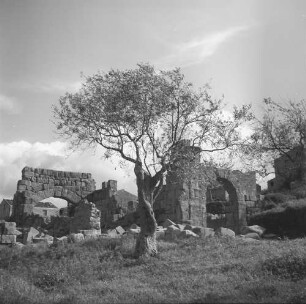Tindari, antike Stadt Tyndaris, Blick zur Ruine der Basilika