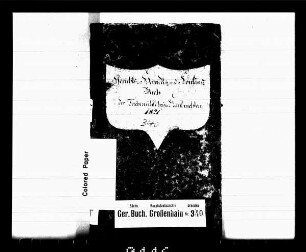 Gerichtshandelsbuch der Teichmühle zu Kleinkmehlen