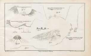 Taf. XV.