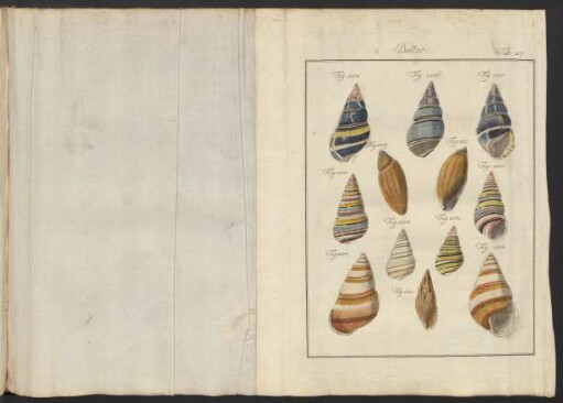 Tab. 117.