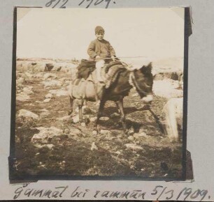 Gammal [dschammal, djammal] bei rammun 5/3 1909.