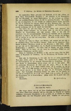 Federzeichnungen