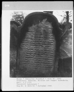 Grabstein der Deborah, Tochter des Gumpel Bodenheim (gestorben 1772.02.03)