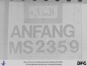 MF Mau 2359