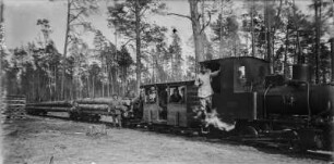 Holztransport : Holztransport mit der Schmalspurbahn.