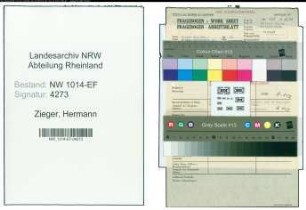 Entnazifizierung Hermann Zieger , geb. 00.00.0000 (Finanzbeamter)