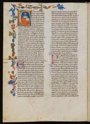 Zierseite mit bewohnter Initiale C auf Goldgrund, Rankenleiste (mit zoomorphen Motiven) und Fleuronnéeinitialen