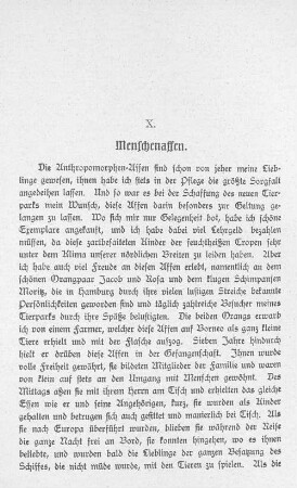 X. Menschenaffen.