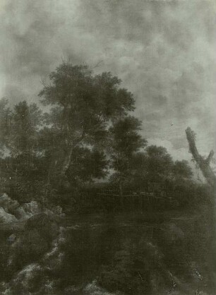 Der Wasserfall mit dem Holzsteg