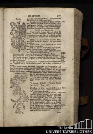 Cap. 266. Je laenger, je lieber, Amara dulcis.