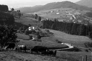 Blick von Eck auf Bohrer, Horben und Freiburg