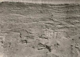 Gersdorf-Kieselbach bei Leisnig, unterhalb des Ortes. Wand einer Kiesgrube mit z.T. kreuzgeschichteten Kiesen