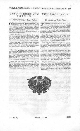 Caput Trigesimum Primum = XXXI. Hoofdstuk - [Caput Quadragesimum = XL. Hoofdstuk]
