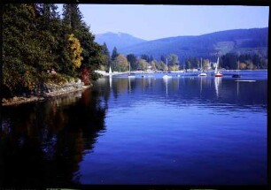 Titisee: See mit herbstlichem Ufer