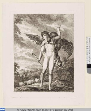 Der Adler stürzt sich auf Ganymed