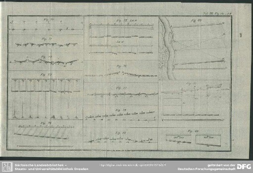 Tab. IIII, Fig. 70 - 82