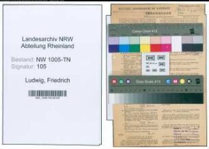 Entnazifizierung Friedrich Ludwig , geb. 27.11.1893 (Rottenfuehrer)