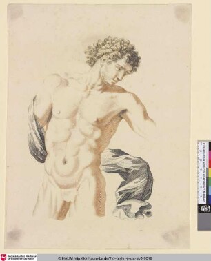 [Aktstudie des Torsos eines Mannes mit Tuch; Standing Nude Man With a Cloak; Torso van een naakte man met gewaad over een arm]