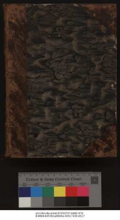 Heldenbuch