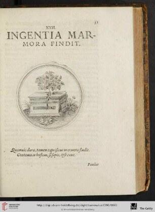 XXII. Ingentia marmora findit