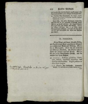IX. Passeres