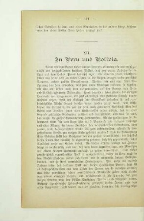 XII. In Peru und Bolivia