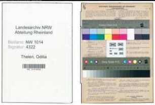 Entnazifizierung Odilia Thelen , geb. 01.07.1896 ()