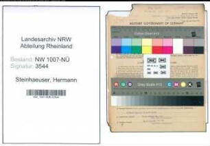 Entnazifizierung Hermann Steinhaeuser , geb. 10.09.1896 (Landwirt)