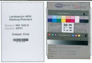 Entnazifizierung Ernst Doepper , geb. 30.10.1903 (Disponent)