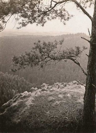 Elbsandsteingebirge. Karrenartige Gipfelformen des Sandsteins bei Herrnskretschen