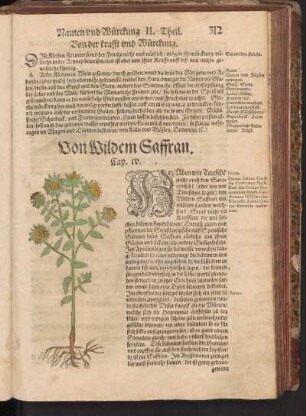 Von Wildem Saffran, Cap. CV