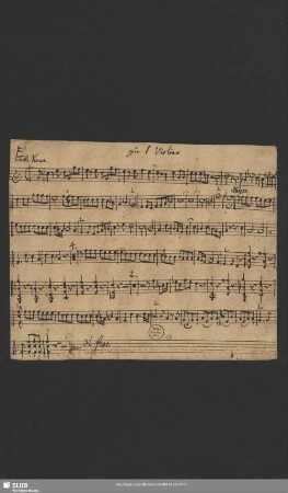 zu 1. Violino