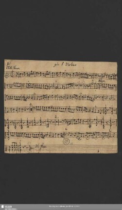zu 1. Violino