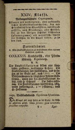 XXIV. Klasse. Verborgenblühende Cryptogamia.