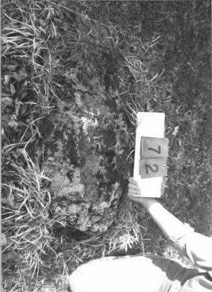 Grabstein 72 (Index: 100008876) Zustand: Fragment: Grabstein 72