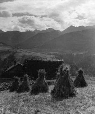 Erntebilder. Pustertal. Abgeerntetes Feld mit Strohpuppen