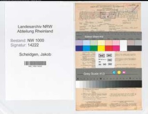 Entnazifizierung Jakob Scheidgen, geb. 14.04.1896 (Bankangest.)