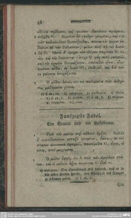 Fünfzigste Fabel. Ein Granat und ein Apfelbaum