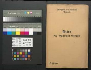 Anneke Krüger gegen Henrich Meyer, Sohn des Meyers zu Wellentrup, wegen einer Eheklage. Kein Eheschluss