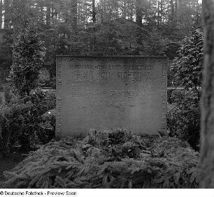 Grabstein der Familie Schneidewind : Dresden. Friedhof (vielleicht auf dem Weißen Hirsch). Grabstein der Familie Schneidewind