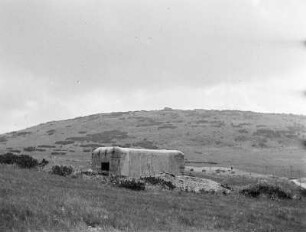Kamm