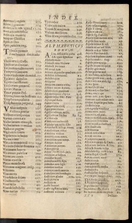 Alphabeticvs Rervm.