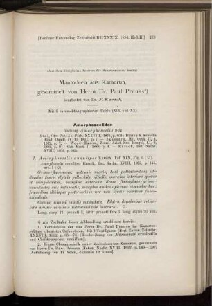 Mantodeen aus Kamerun