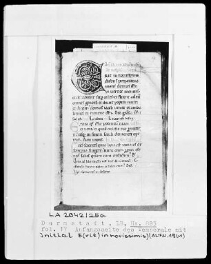 Kollektar und Rituale — Initiale E(rit in novissimis), Folio 17recto